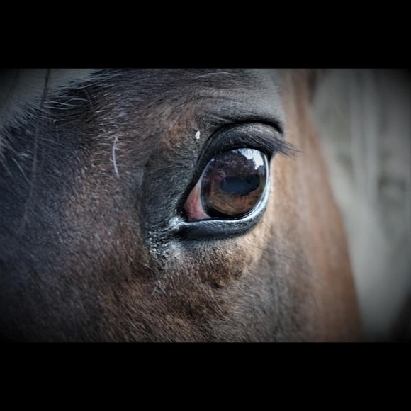 Meet your Posher, Corrine - Picture 1 of 1